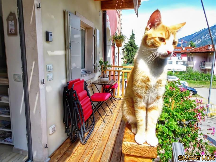 Antica Casa Alboletta - Appartamento Frida Kahlo Riva del Garda Kültér fotó